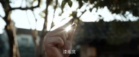李桢成功复原漆烟古墨，田家蓄意破坏