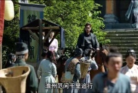范闲押司理理回京，王启年试探其底线