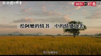 《给阿嬷的情书》跨越天涯守望真情