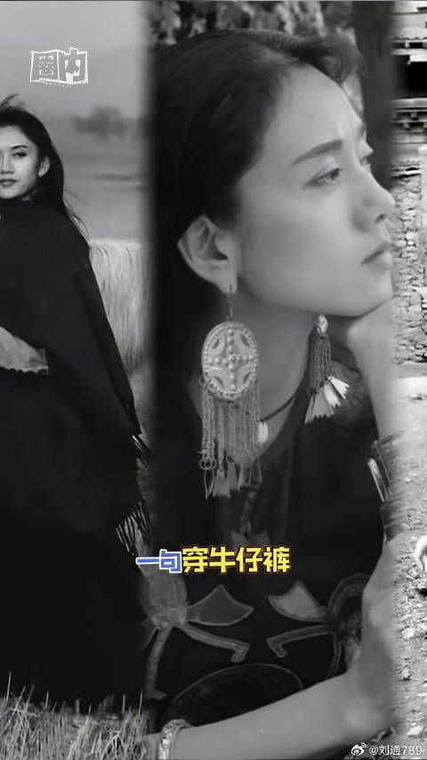 杨丽萍 微博VC计划