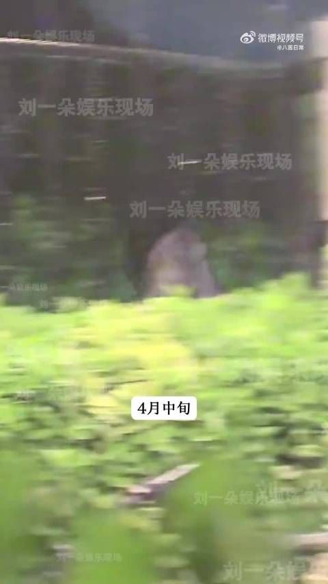 狗仔爆料周也与电影配角恋情,视频模糊难辨认