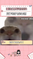 终于能eat到我担了~ 时代少年团 宋亚轩 刘耀文 迪丽热巴 娱乐评论大赏