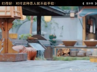 打又打不过，还爱挑衅！