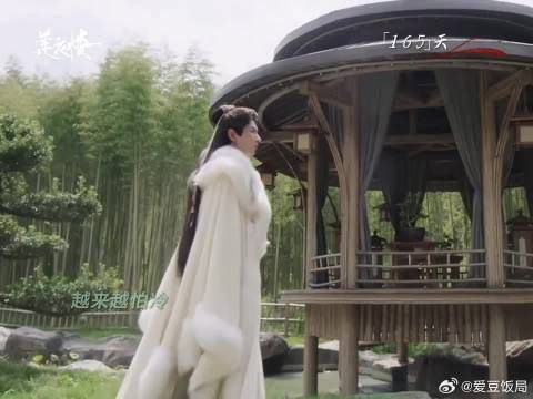 莲花楼主角病重十年，孤身行走细节曝光
