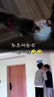 不能说一模一样 哈哈哈哈哈哈哈哈 简直要笑死