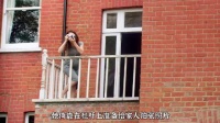 一场意外事故，让丈夫发现了妻子隐藏多年的秘密
