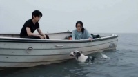 你这个视频给我看爽了，AI就得这么用， 远离道德绑架，全扬了