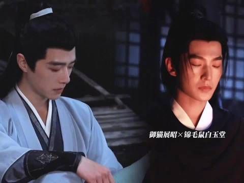 展昭白玉堂冲霄楼伤而不死,互怼展鼠猫情谊