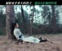 《雨霖铃》展昭痛失明柱儿，未及束发成终身憾