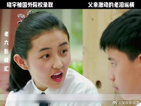 晓宇被国外院校录取，父亲激动的老泪纵横，直呼祖坟冒青烟