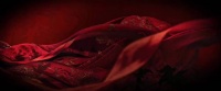 陈都灵 周翊然《翘楚》1–2集预告 看起来大事很妙啊 6.2看起来！