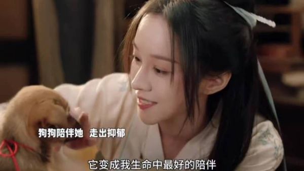 女子将狗视作孩子和心灵寄托