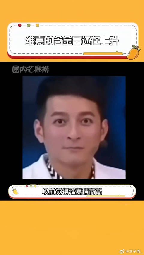 维嘉坦言自身缺点，何炅快乐大本营引热议