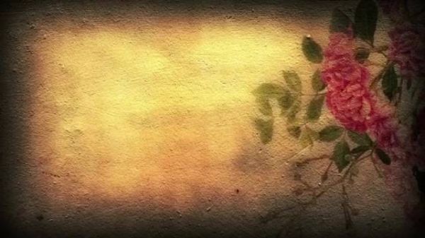 徐小凤遭质疑假唱引热议，曾获周润发刘德华致敬