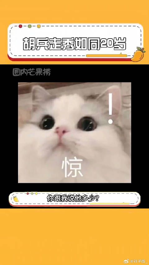 这就是初代超模吗，怎么会有人越老越有型，跪求开课！胡兵