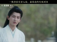 一纸书信引君入局，悬崖边的生死对决