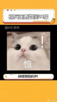 这就是初代超模吗，怎么会有人越老越有型，跪求开课！胡兵