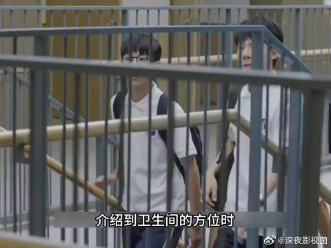 天才学霸却有个学渣哥哥
