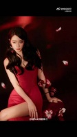 迪丽热巴已成立独资公司