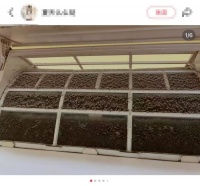 没洗的空调可能把人“吹进”ICU，夏天开空调前这2个部件一定要洗