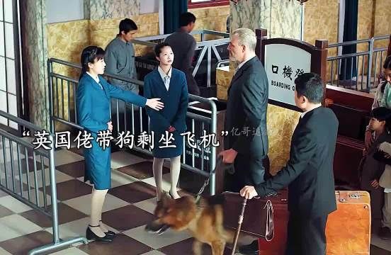 英国佬带狗坐飞机遭阻拦，结果开枪杀人闯下大祸