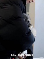 这个视频里面有两个很萌的宝宝，又是羡慕刘呆米的一天