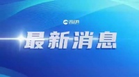 陈志犯罪集团骨干刘忍被押解回国
