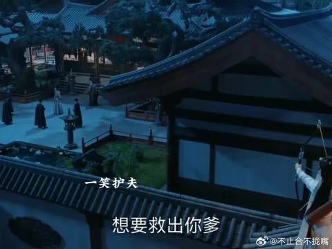 一笑凤随歌入宫救驾，夏静炎致夏静石误会戏阳