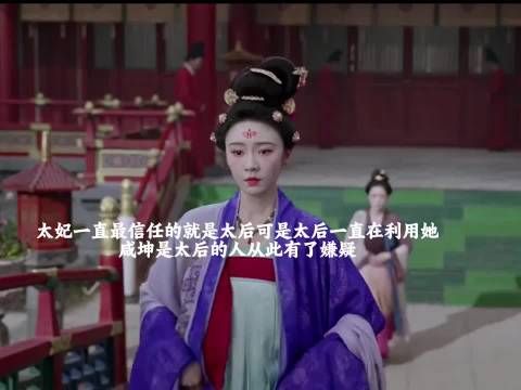 原来咸坤是太后的人，太妃一直被他们俩个骗