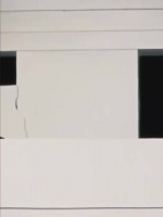 沈月徐若晗陈鑫海贺峻霖一起拍大片 超级养眼的少男少女组