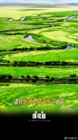 夏天就去要去草原上和喜欢的歌手们一起蹦一蹦啊！音乐节 微博VC计划