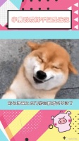 李晨说易烊千玺是连宠 笑不活了，这个连宠确实是精准拿捏了 微博VC计划