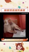 向佐：也是轻舟已过万重山了搜我搜我搜我搜我 微博VC计划