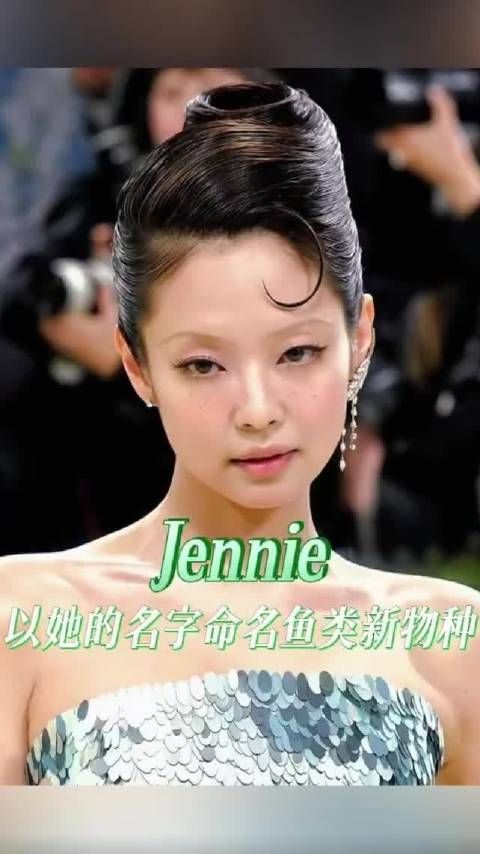 被工作室认证过的中饭浪漫，从此海里真的有了一条叫做jennie的小鱼