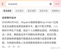 Stray Kids 被微博智搜绝育了