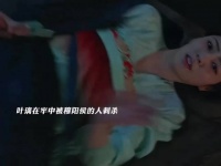 叶璃被刺杀，还好韩明晰及时醒来帮忙，叶璃庆幸逃过一劫