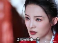 堂堂的女将军，竟成了敌国大皇子的小妾