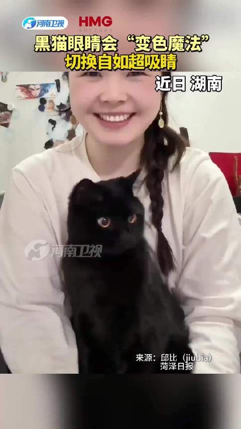黑猫眼睛会“变色魔法”切换自如超吸睛！