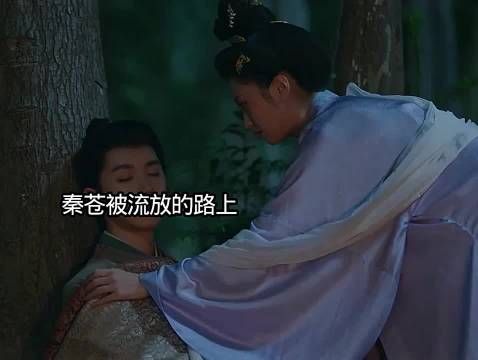 秦苍被发放去了黔川，林听澜陪同而去 电视剧莫离