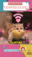 Pink千玺真的好爱！tfboys十年之约