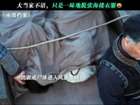 张海楼查案误入凤凰寨，被女大当家强留做压寨郎
