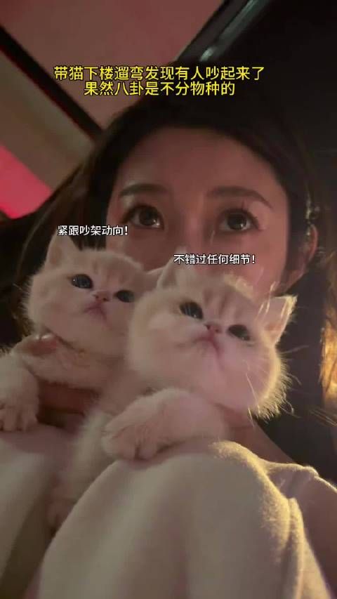 果然八卦不分物种