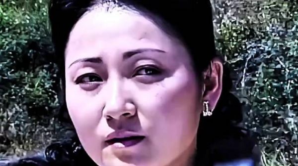 姑娘过关被士兵为难，下秒亮出证件，少将团长看了都认怂