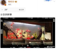 周柯宇一口气送出18个祝福堪比相声报菜名
