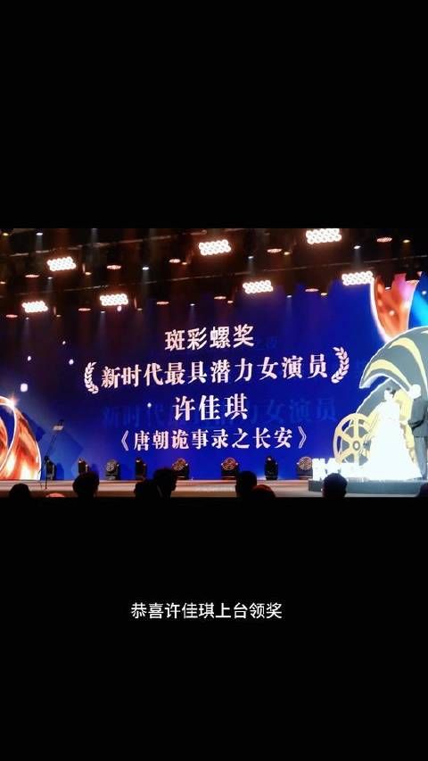 许佳琪获第六届新时代国际电视节最具潜力女演员