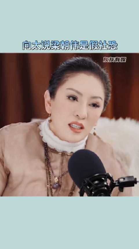 向太说社恐是梁朝伟的挡箭牌