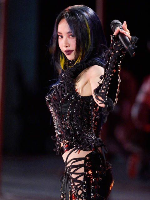 蔡依林演唱会取消