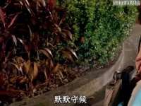 女子爬行守护昏迷男子一夜,两人彼此救赎