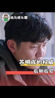 《苏明成正确使用手册》 都挺好 苏明成 郭京飞 姚晨 彭昱畅