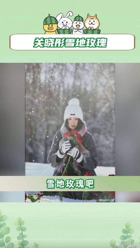 关晓彤 微博VC计划